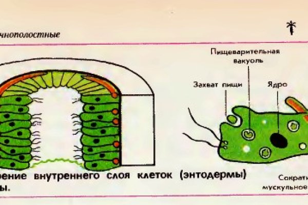 Как открыть ссылку с кракена